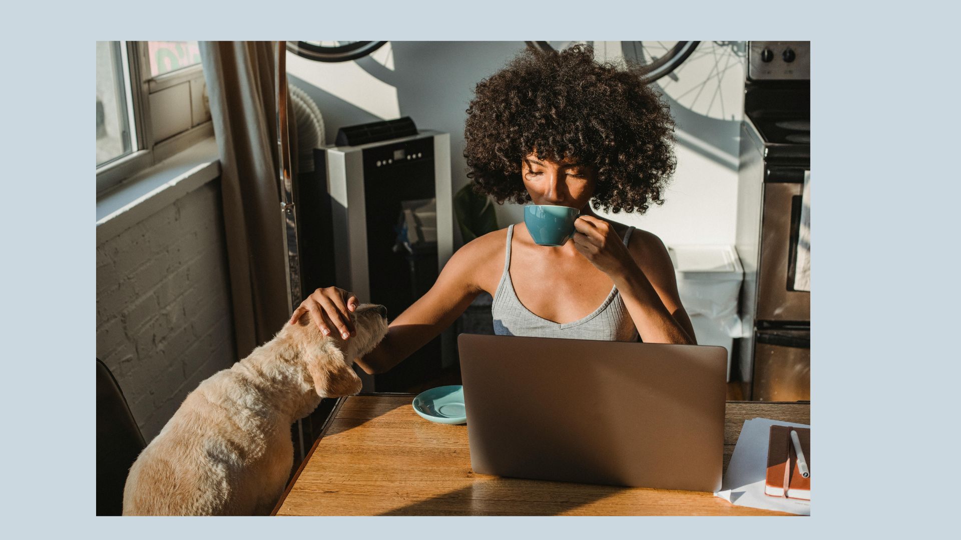 Woman with dog and laptop
